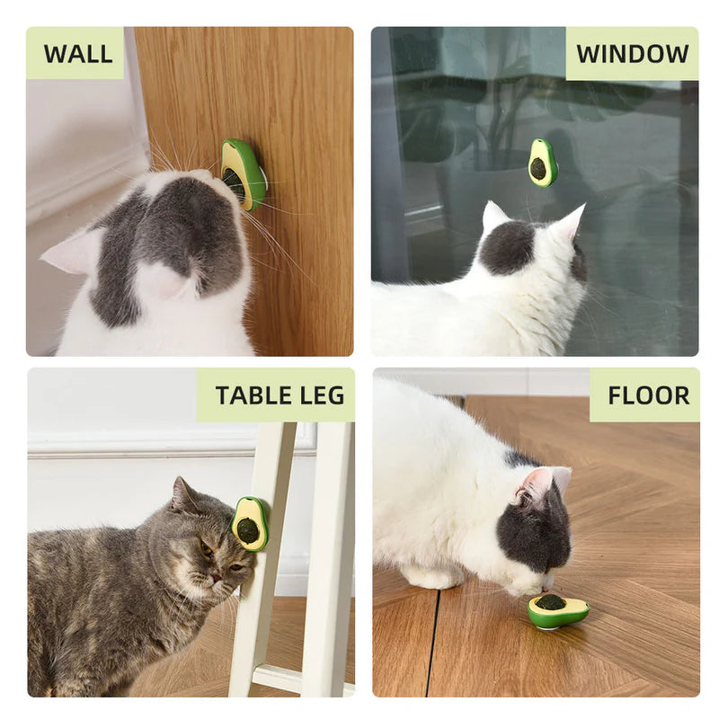 AvoWhirl Catnip Toy